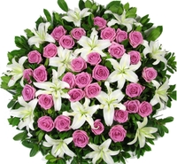 funeral house Coroas de flores (31) 2565-0627