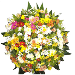 Flora Coroas de flores Velório Funeral House BH (31)2565-0627