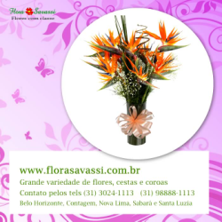 Floricultura flores  flora em Belo Horizonte, Belo Vale, Betim MG