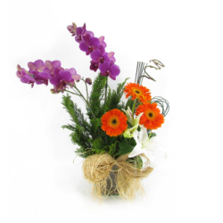 Floricultura flores  em Juatuba, Justinópolis, Lagoa Santa, Lapinha MG