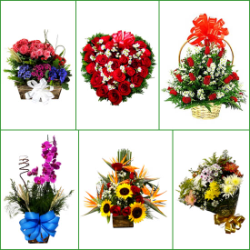 Flores flor Floricultura, Flores aniversario casamento. Flores online