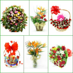 FLORICULTURAS Capim Branco, cestas de café da manhã e coroas de flores